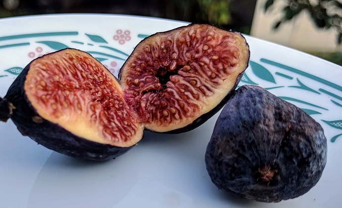 Valle%20Negra%2009-04-2019