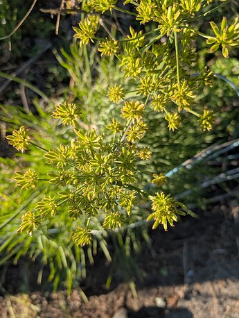 PXL_20250523_014157043