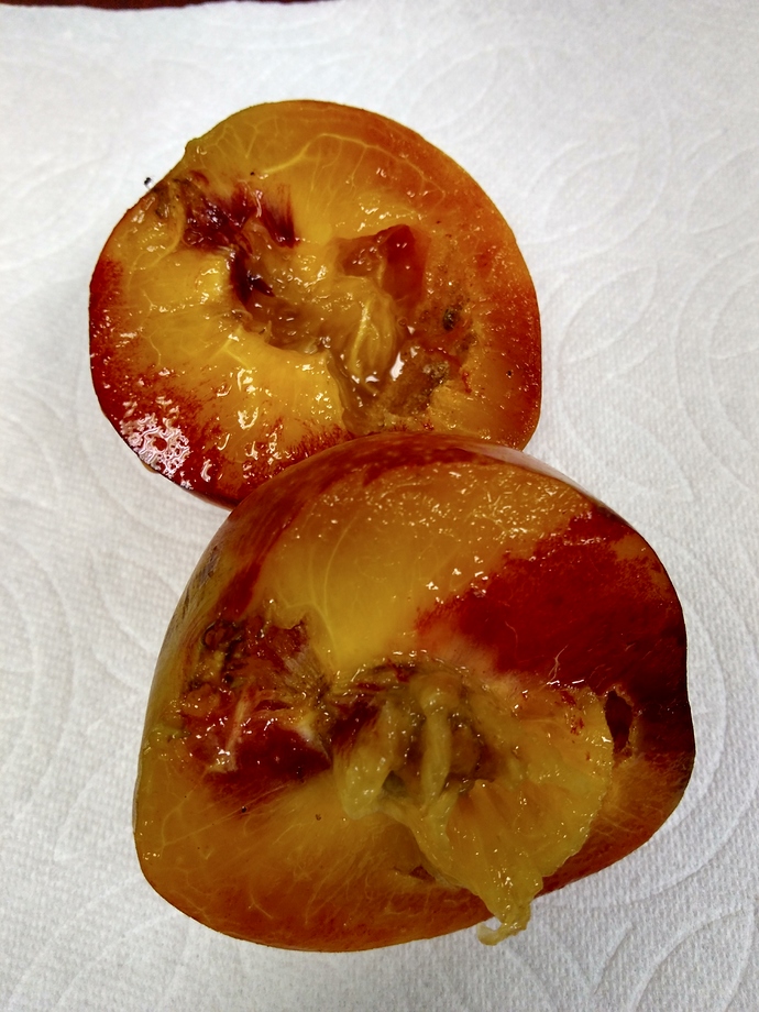 IMG_20190807_102347390_HDR