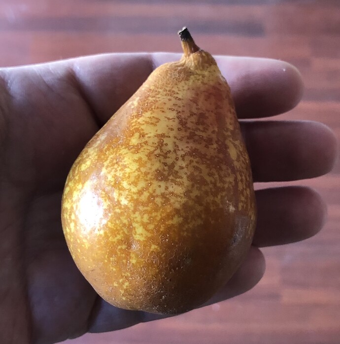 2021-09-28_Harvest_Pears_Elliot_IMG_0912