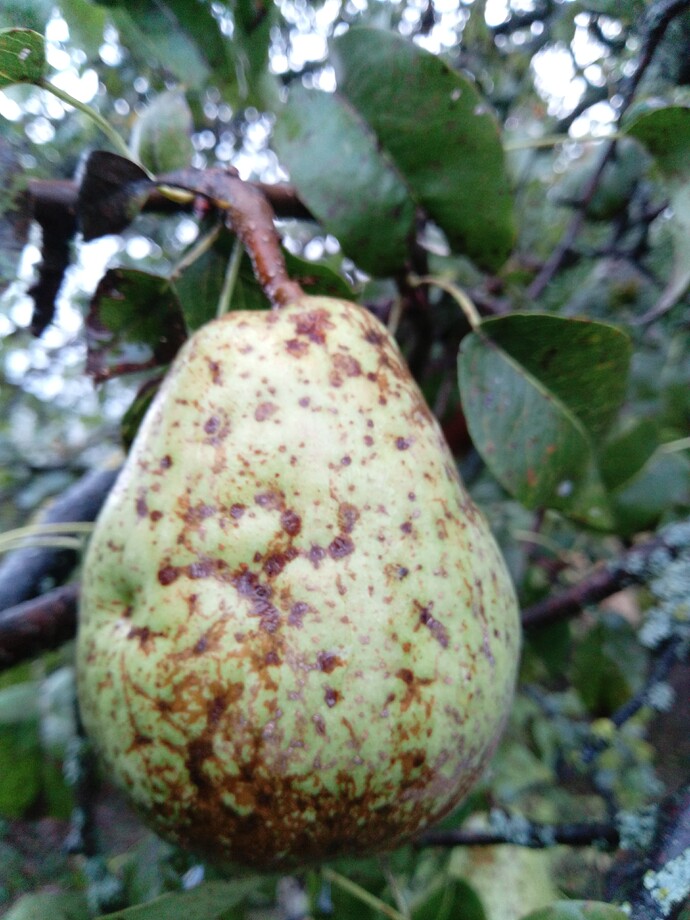 IMG_20240916_183735_341