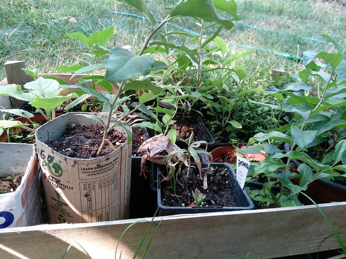 IMG_20240829_122537_382