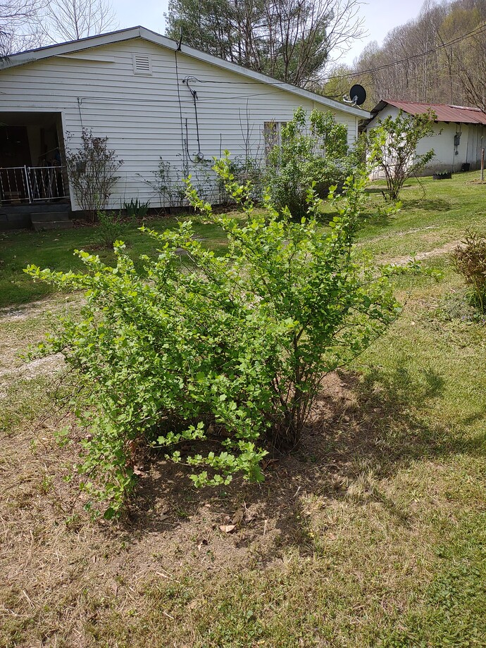 IMG_20250420_124711885