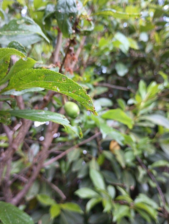 IMG_20230523_160434956