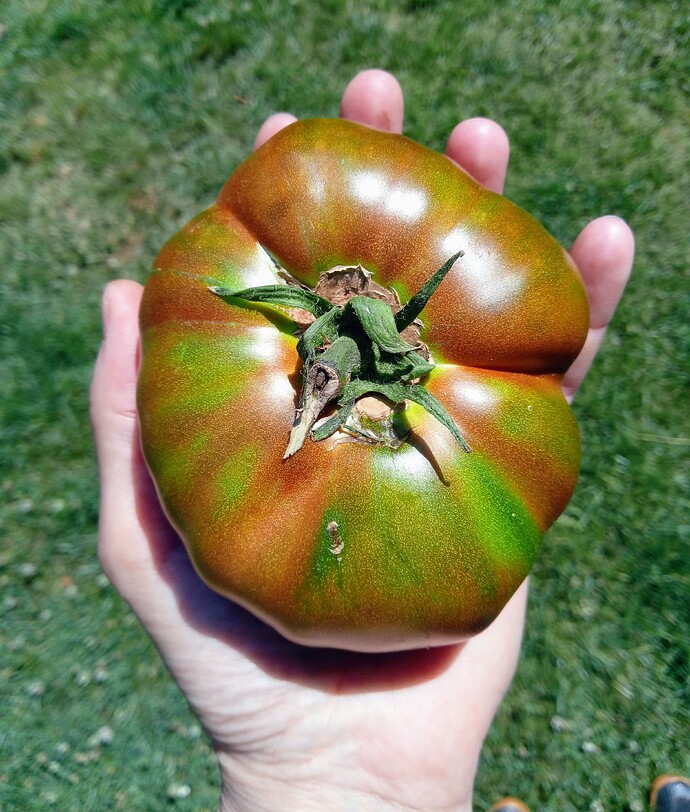 IMG_20240803_125913_823~2