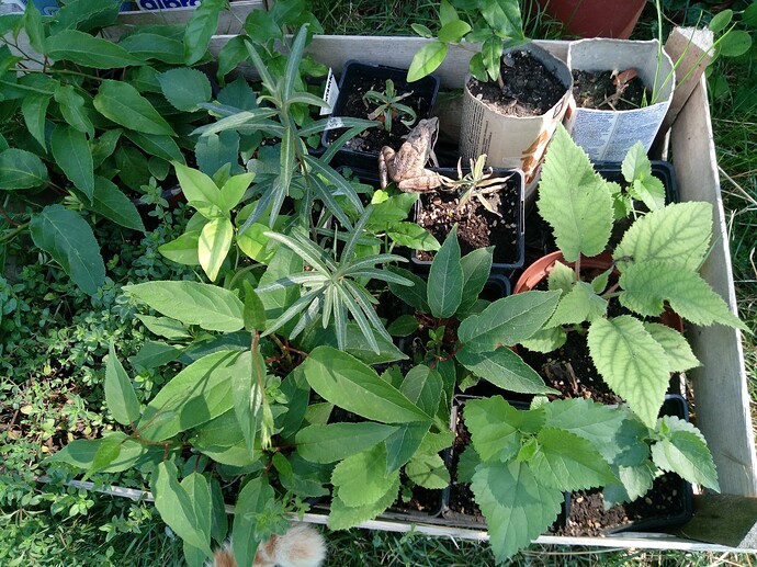 IMG_20240829_122215_433