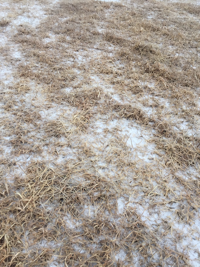 FE3A8B61-A768-4B77-A809-EACA00391C92