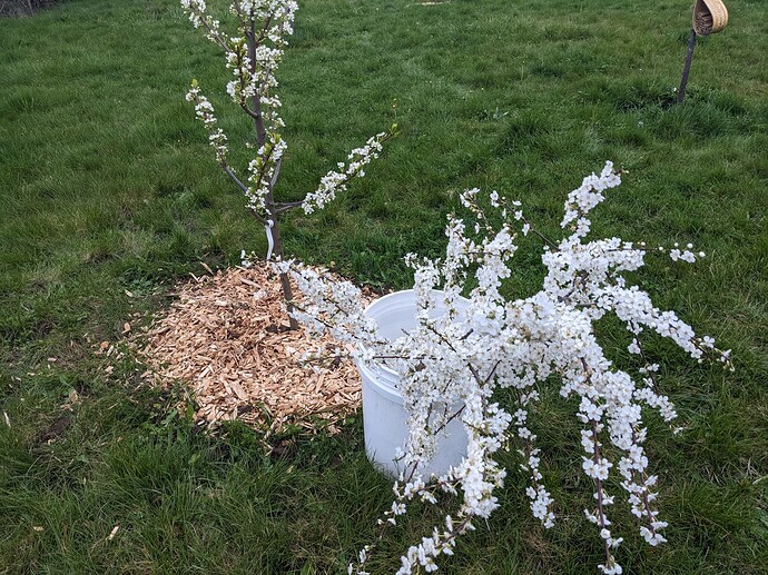 PXL_20230409_021140603