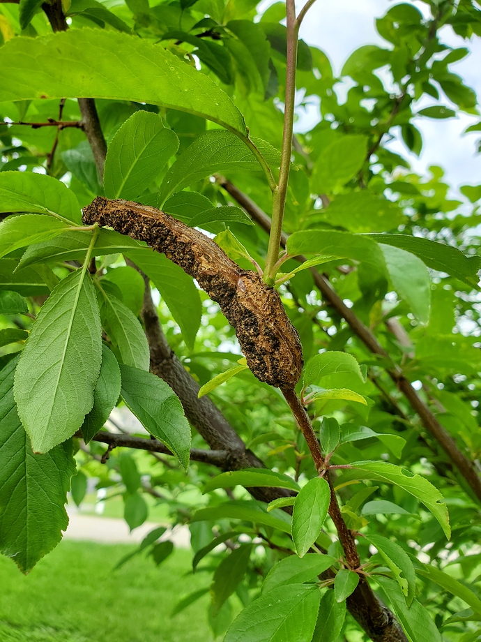 20190514_174551