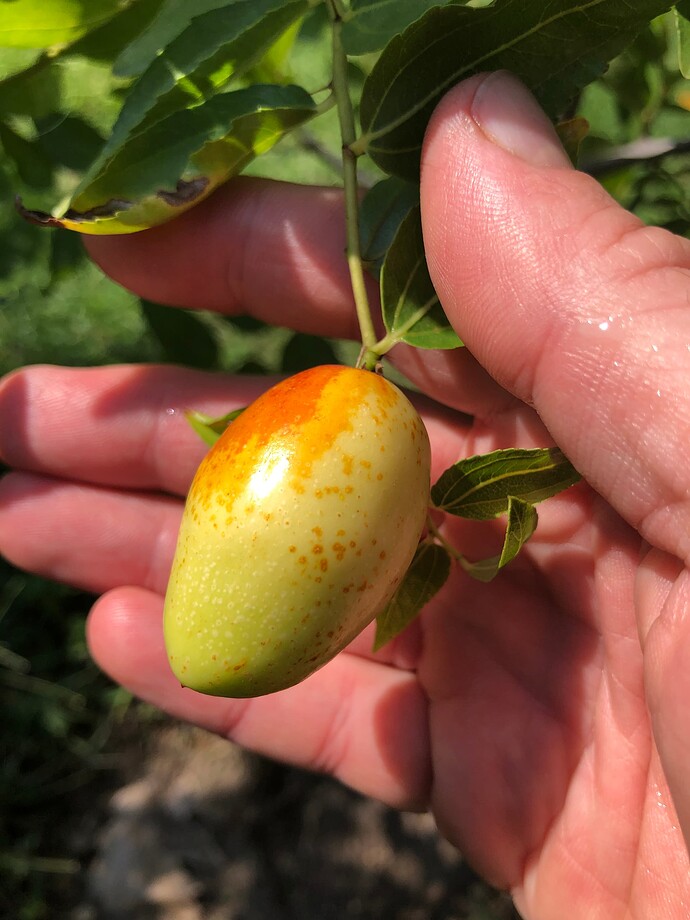 Seedling_09-18-2022