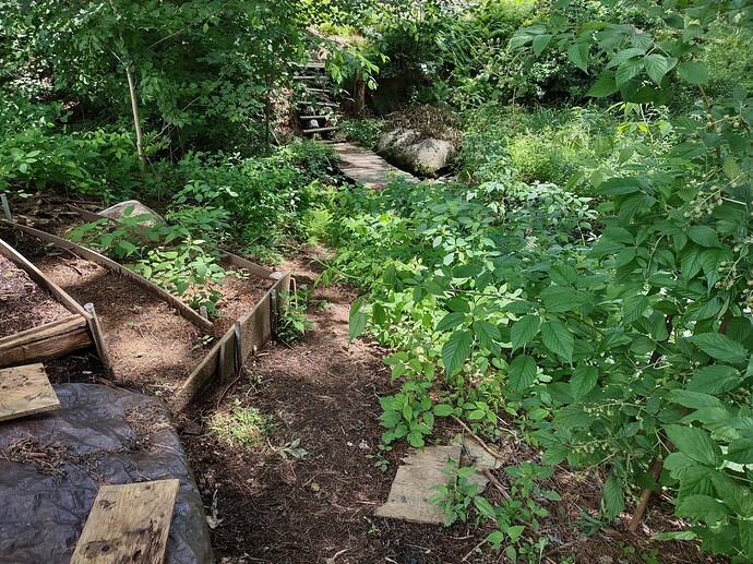 IMG_20230723_120456318_HDR