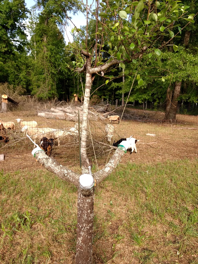 IMG_20180421_092809395