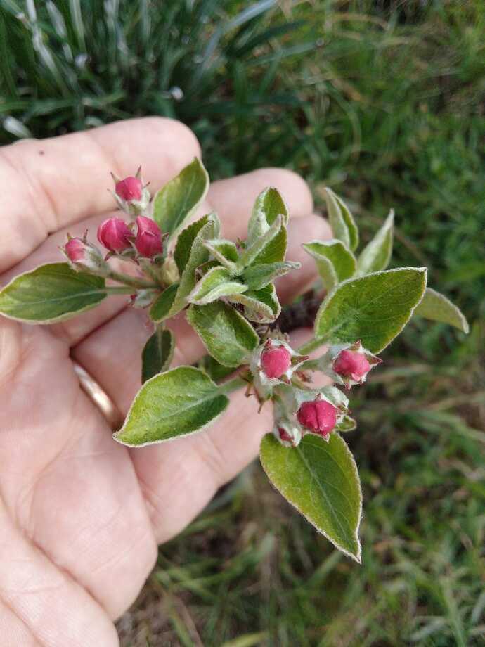 Imagem WhatsApp 2023-04-04 às 11.49.40