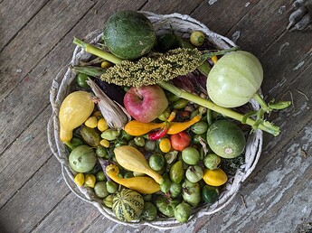 PXL_20241016_224213768