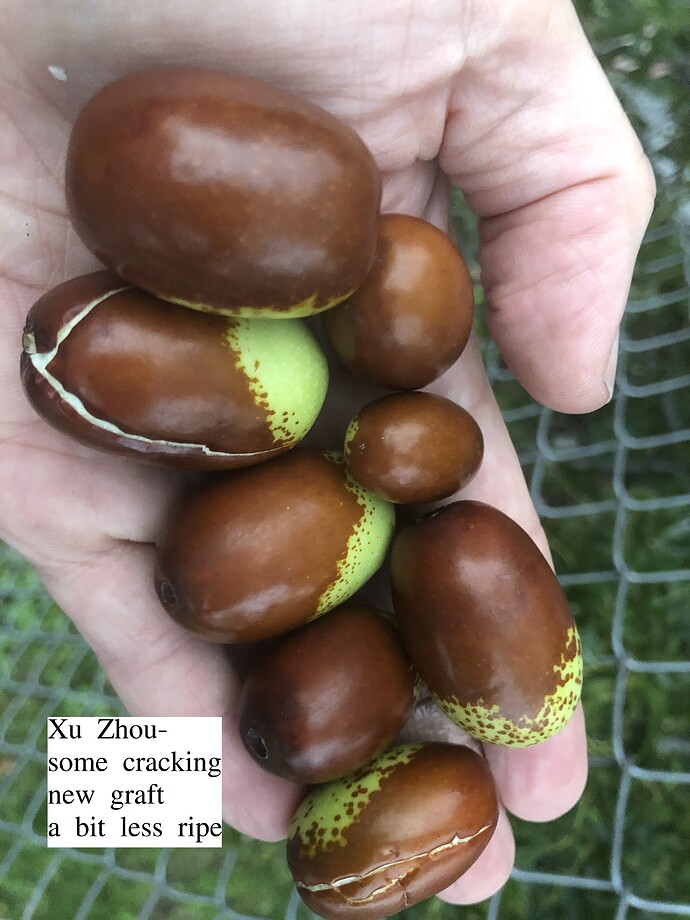 Xu_Zhou_g_10-28-2021