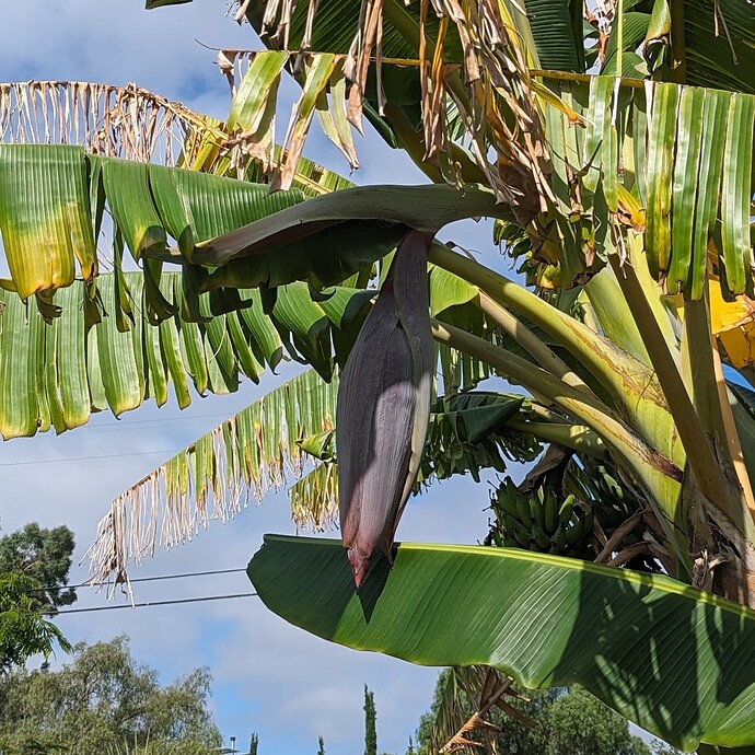 PXL_20230625_160750140