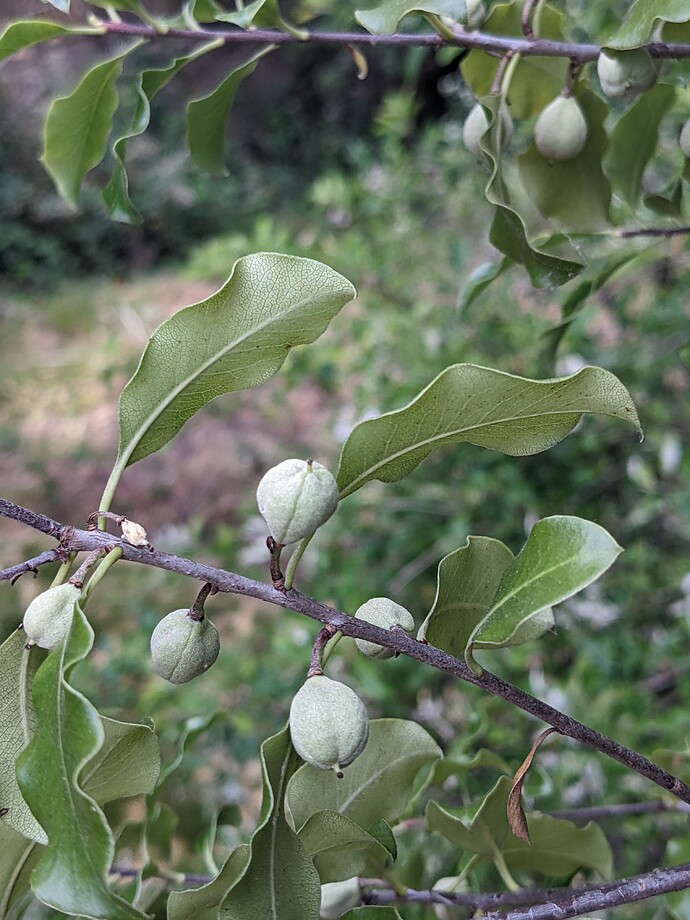 PXL_20220605_022428476.MP