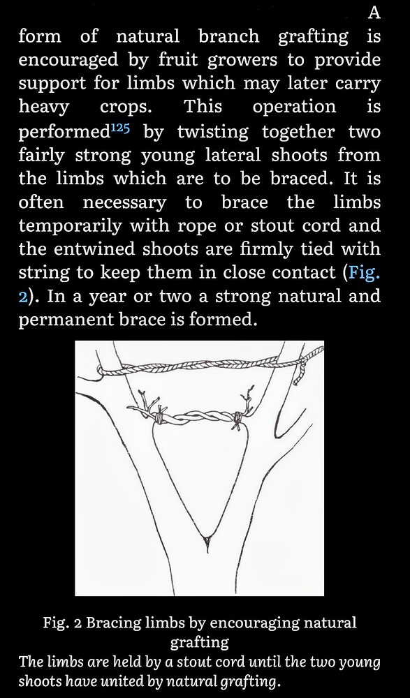 Screenshot_20240727-124453~3