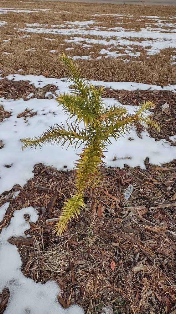 IMG_20250124_104715397_HDR