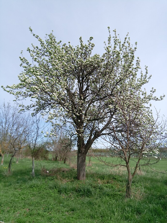 IMG_20240403_142157_018