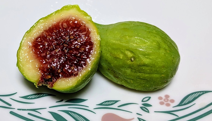 White%20Madeira%20%23%201%2009-08-2019%20A