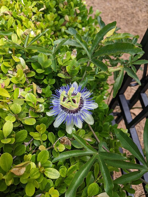 PXL_20230508_182956836