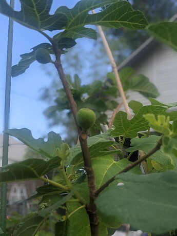 PXL_20220823_225342065.PORTRAIT