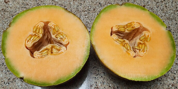 August  21,2021 Melons 2