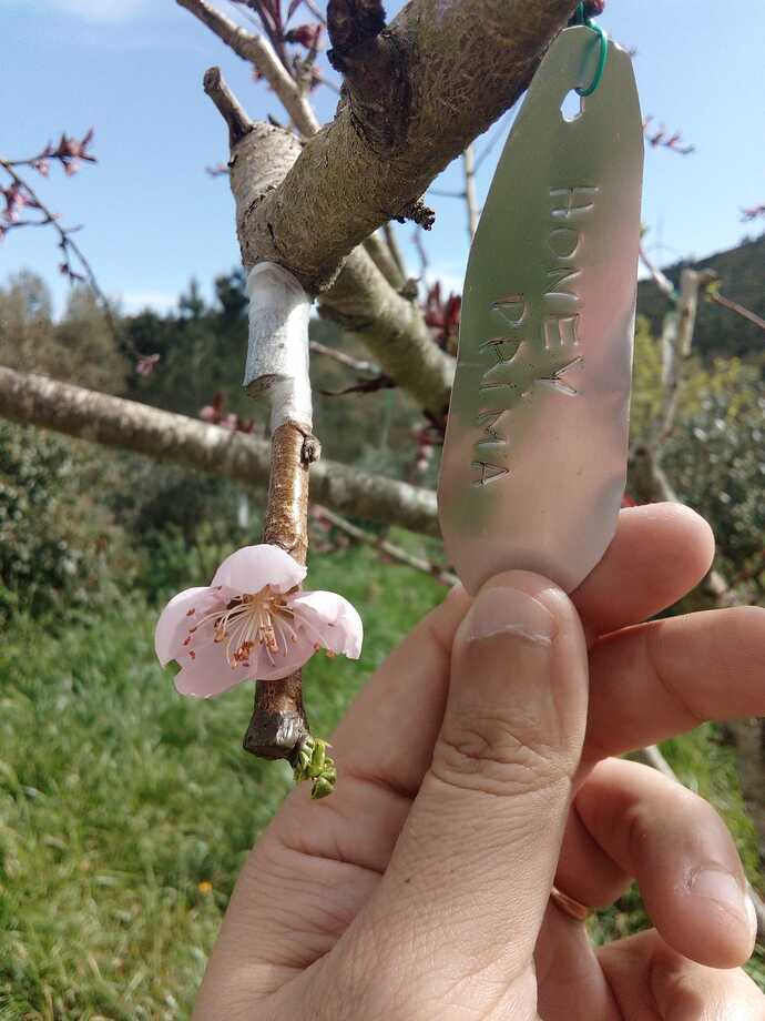 Imagem WhatsApp 2023-04-05 às 14.50.39