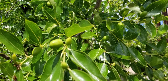 15315879576897853983955887104337