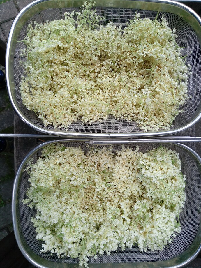 IMG_20240519_150435_186