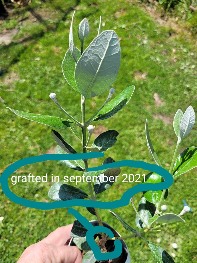 20220501_144819