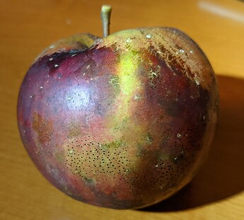 PXL_20210926_230242277