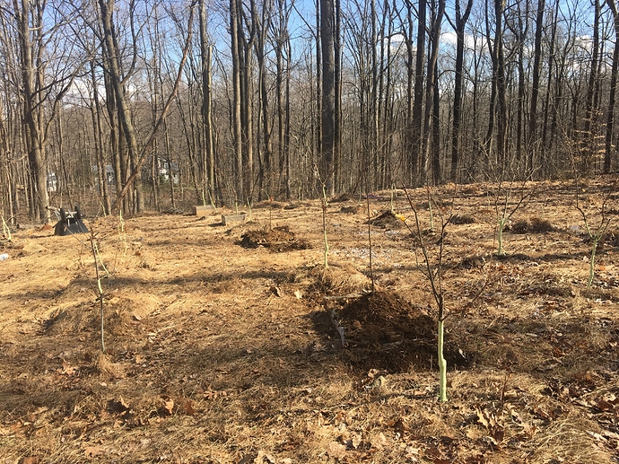 CCCBDABD-3B14-4F44-A934-471118DCB175