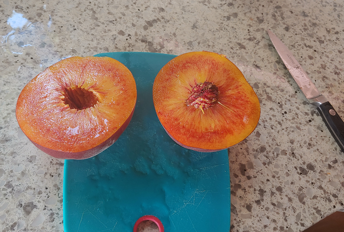 suncrest peach
