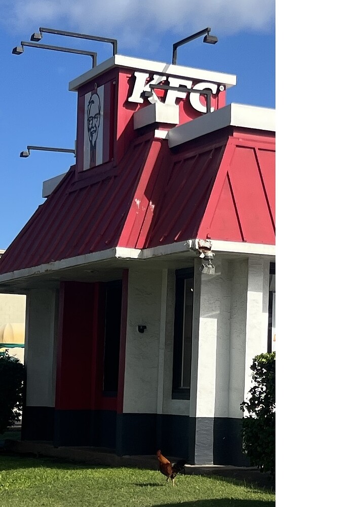 chicken_kfc_11-28-2024