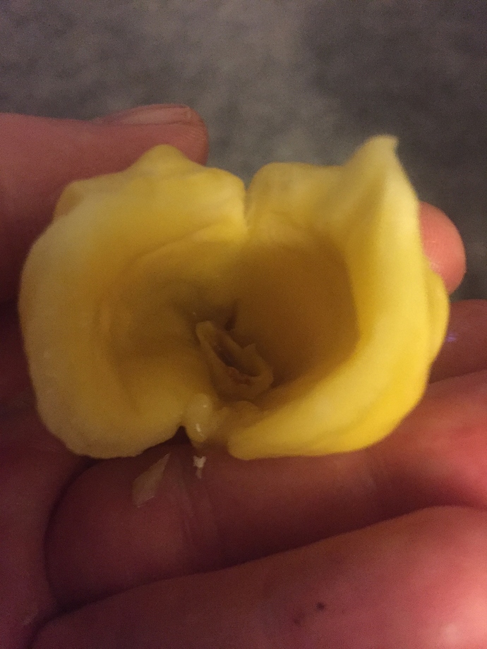 45540145-E6E6-4769-86D5-038E5F4B8B22