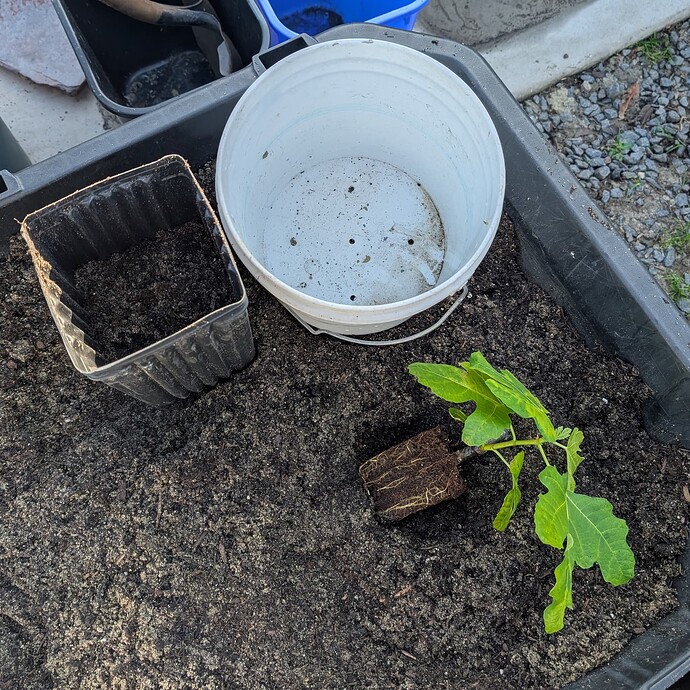 PXL_20250203_224240556