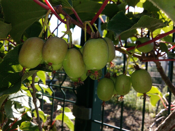 IMG_20220628_085538_1