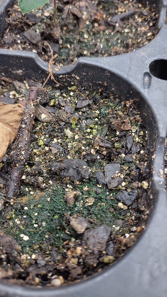 IMG_20240711_202011817_HDR