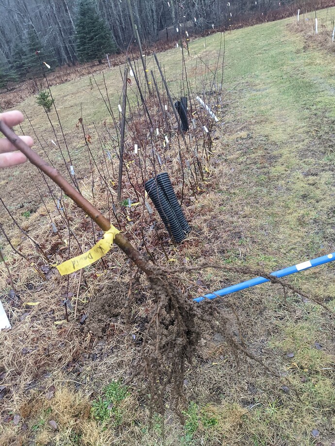 PXL_20230113_202050366