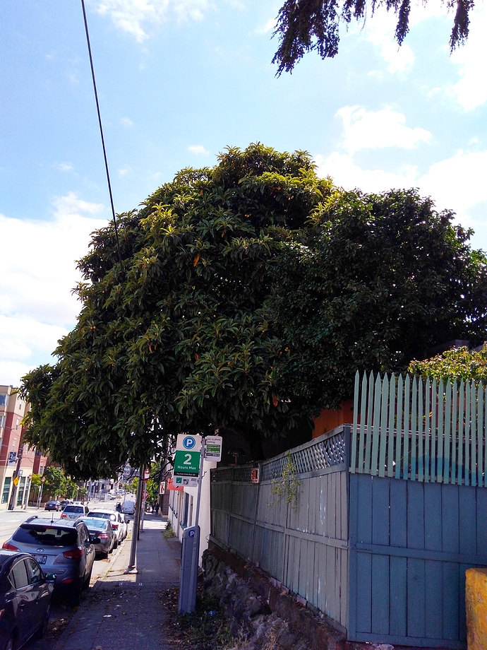 IMG_20190621_144356891_HDR