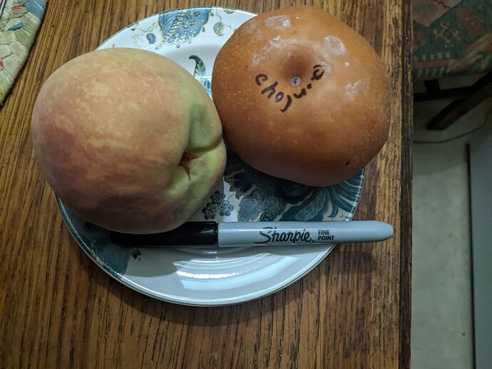 PXL_20230825_003658330