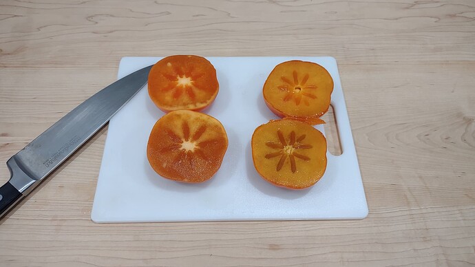 IMG_20231129_193645832