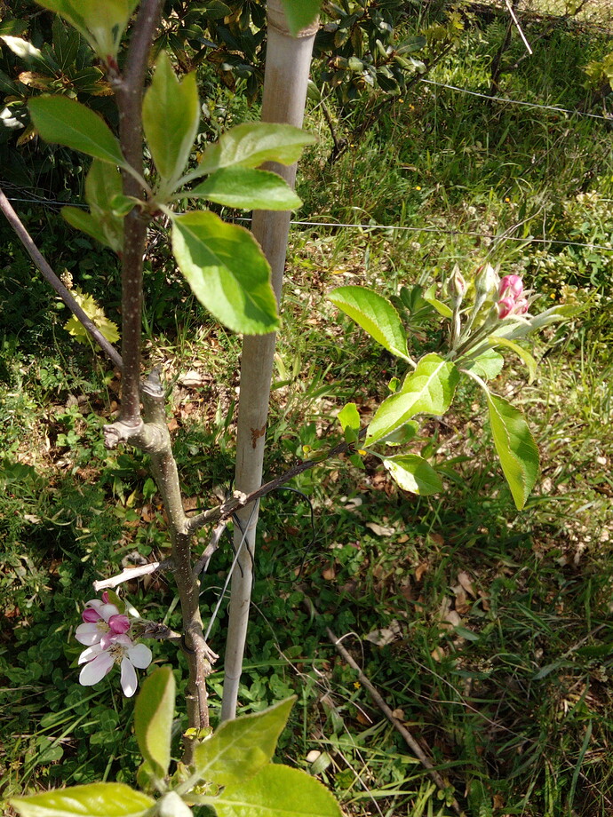 IMG_20220430_120726