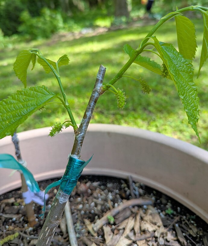 PXL_20250426_192940114~2