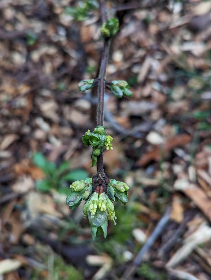 PXL_20240220_005900423