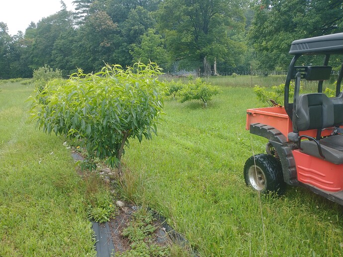 IMG_20230702_093704762