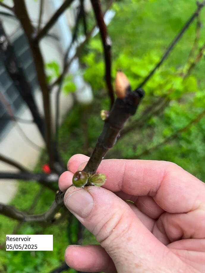 Reservoir_ph_05-05-2025