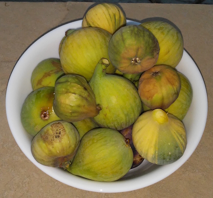 Figs_in_bowl_2017-08-08_photo-1